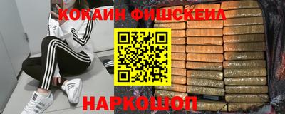 гашик Будённовск
