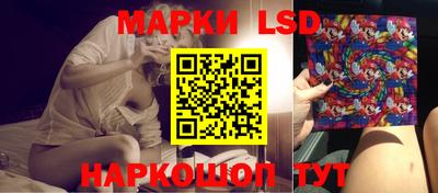 гашик Будённовск