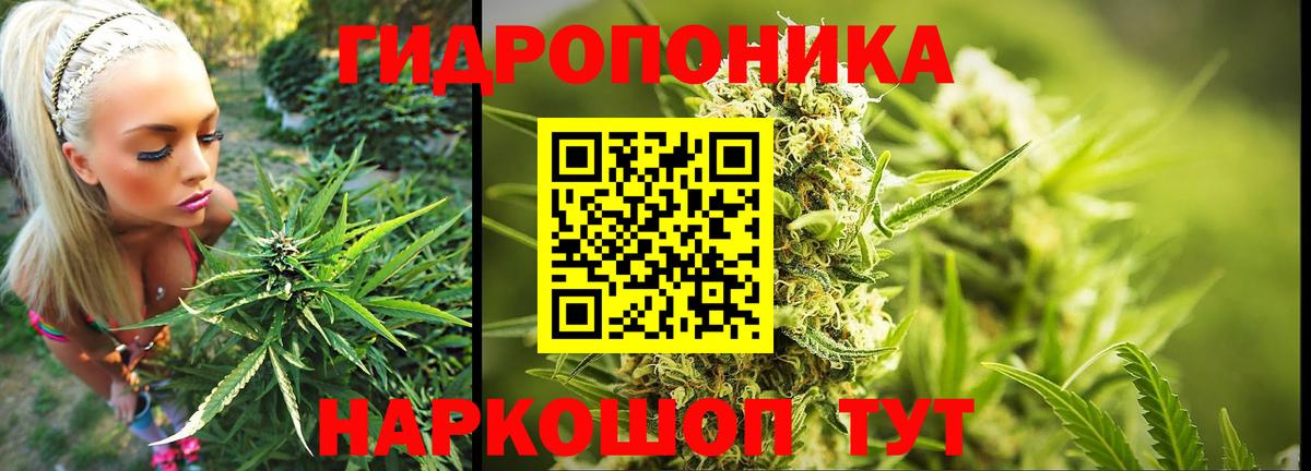 Шишки марихуана семена  Каннабис AK-47  Вход с VPN  Удомля 